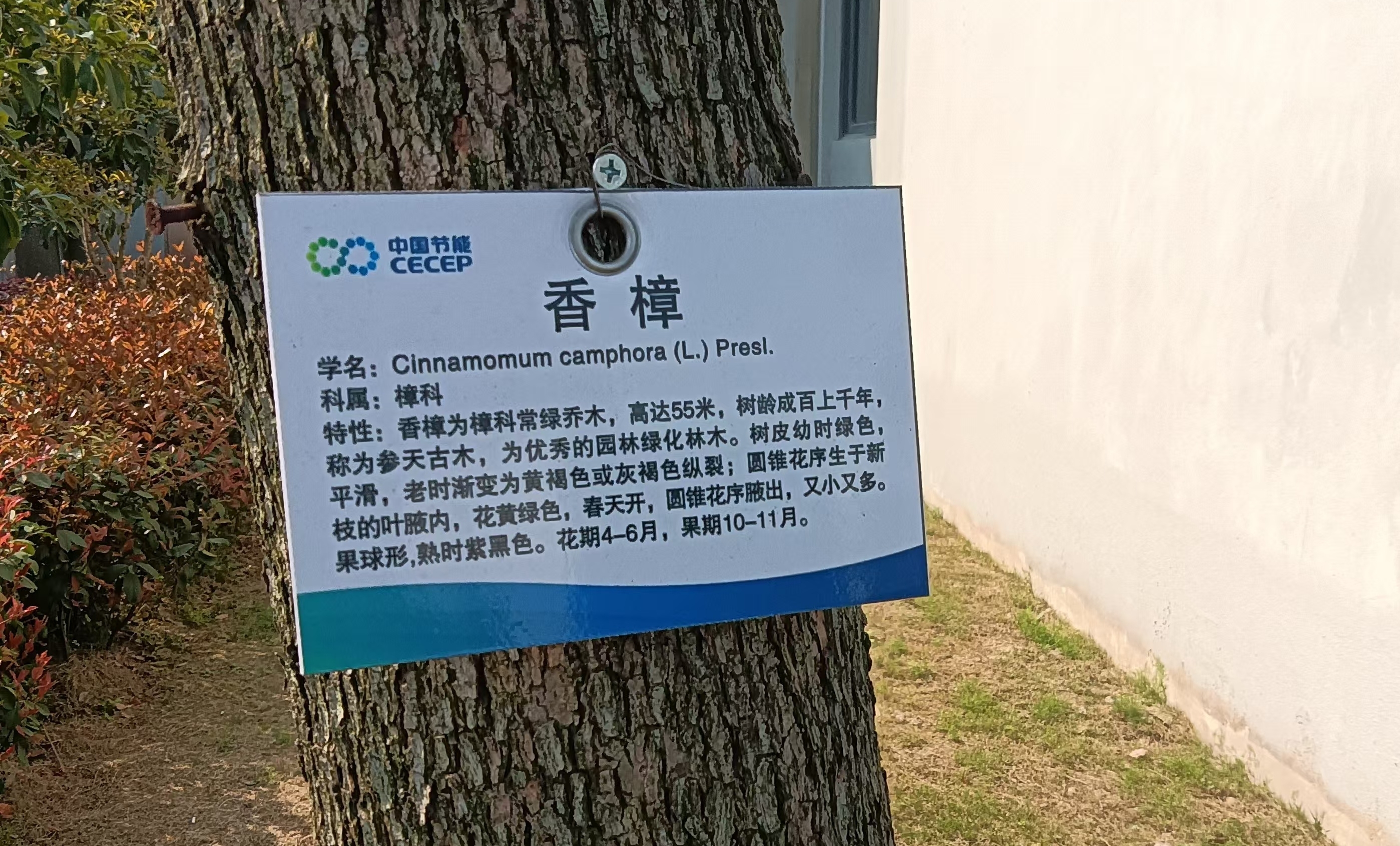 图片31.jpg